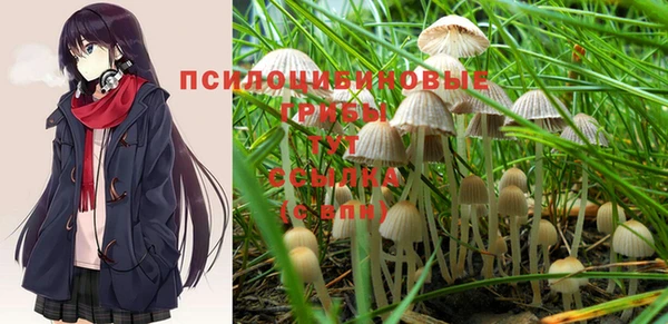 прущие крисы Мегион