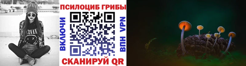 продажа наркотиков  блэк спрут зеркало  Псилоцибиновые грибы Cubensis  Усть-Лабинск 